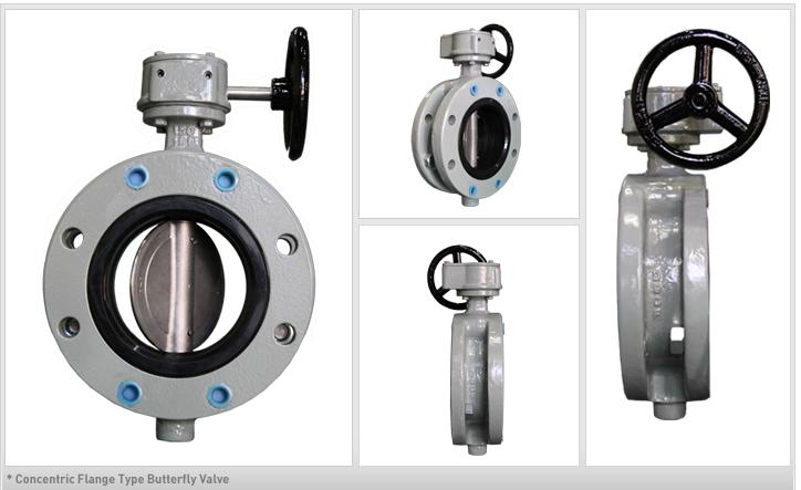 concentric-flange-type