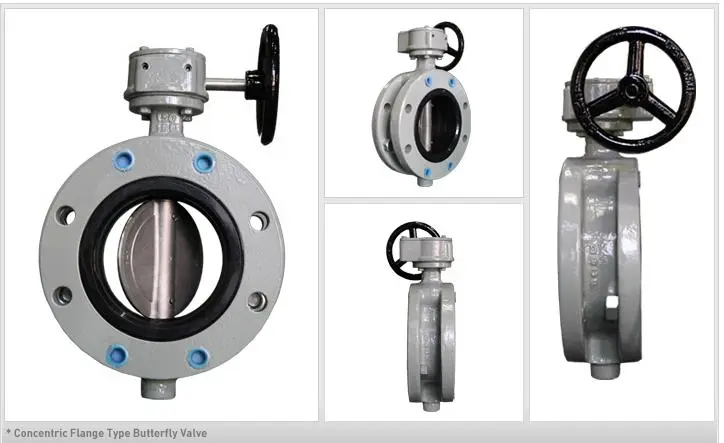 concentric-flange-type
