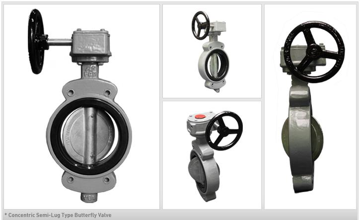 concentric-semi-lug-type