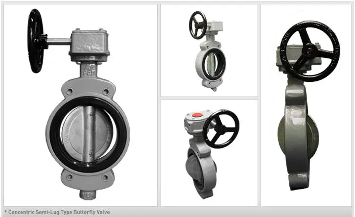 concentric-semi-lug-type