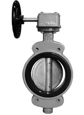 concentric-semi-lug-type