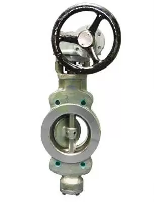 double-eccentric-high-performance-semi-lug-type